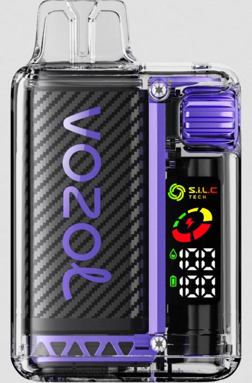 Vape Großhandel Preise Traubeneis 4FVXR12 VOZOL VISTA 16000/20000 5 %