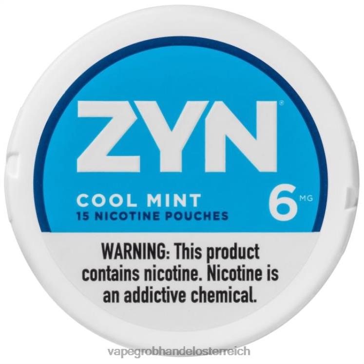 Vape Großhändler kühle Minze 4FVXR16 ZYN Nikotinbeutel 6 mg