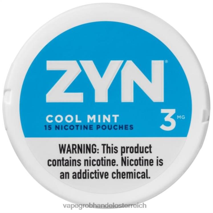 Vape Großhändler kühle Minze 4FVXR26 ZYN Nikotinbeutel 3 mg